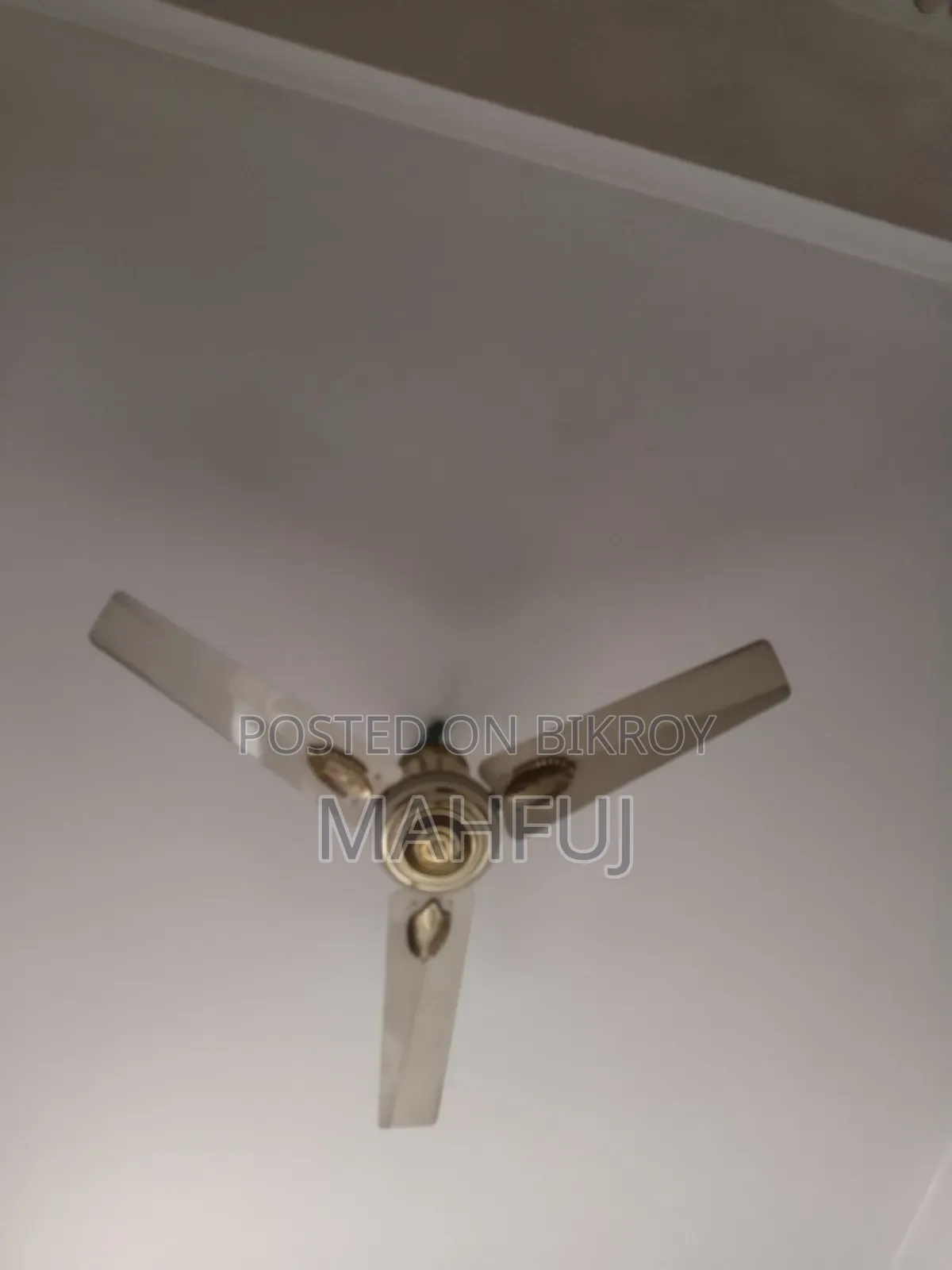 ফ্যান বিক্রি