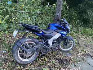 Bajaj Pulsar NS 160 2023 Blue