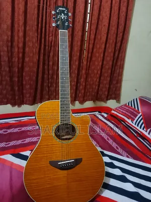 সেমি অ্যাকৌস্টিক গিটার