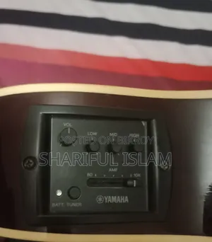 সেমি অ্যাকৌস্টিক গিটার