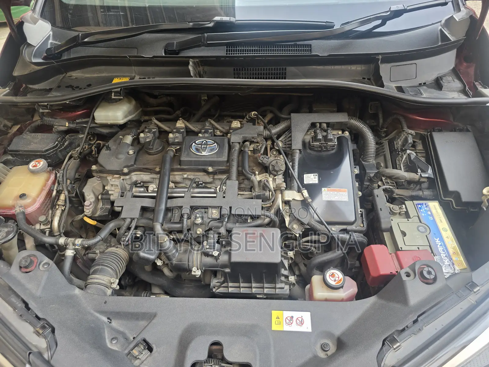 Toyota C-HR 2017 Maroon