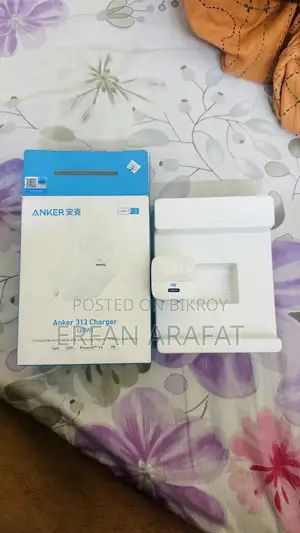 অ্যাঙ্কার ৩১৩ চার্জার (৩০ডব্লিউ)