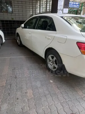 Toyota Allion 2009 Pearl