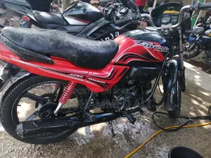 Hero Passion Pro 2010 Red