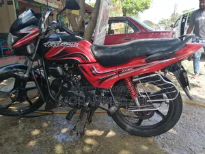 Hero Passion Pro 2010 Red