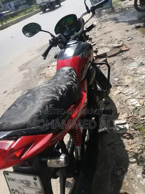 Hero Passion Pro 2010 Red