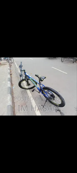 সাইকেলটি দেখতে এবং চালাতে খুব ভালো অবস্থায় আছে এলবি রবিউল ইসলাম