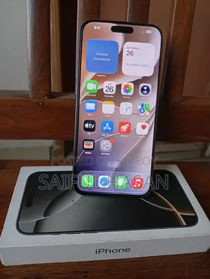 Apple iPhone 16 Pro Max 256 GB Silver