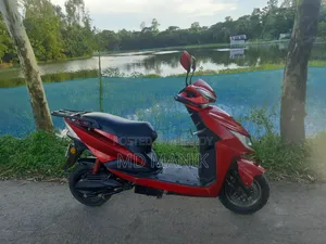 Green Tiger JR (Lite)-Falcon 2025 Red