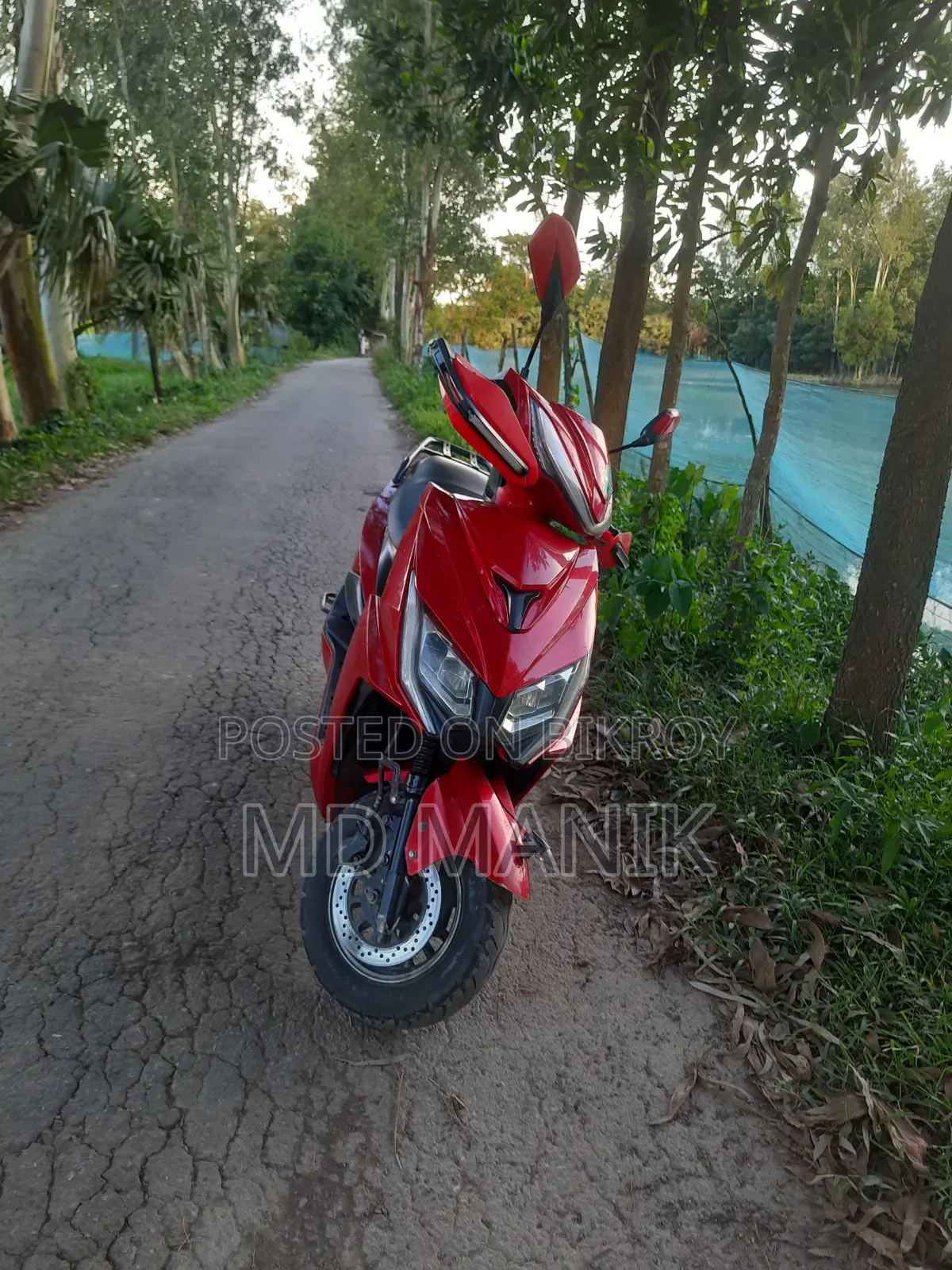Green Tiger JR (Lite)-Falcon 2025 Red