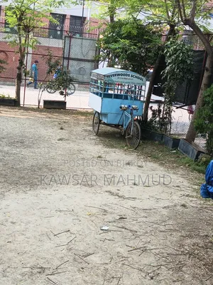 School Auto Van for Sale