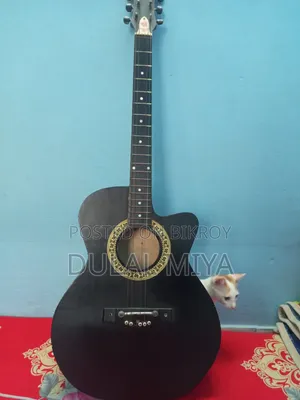 Acoustic Guiter for Sale