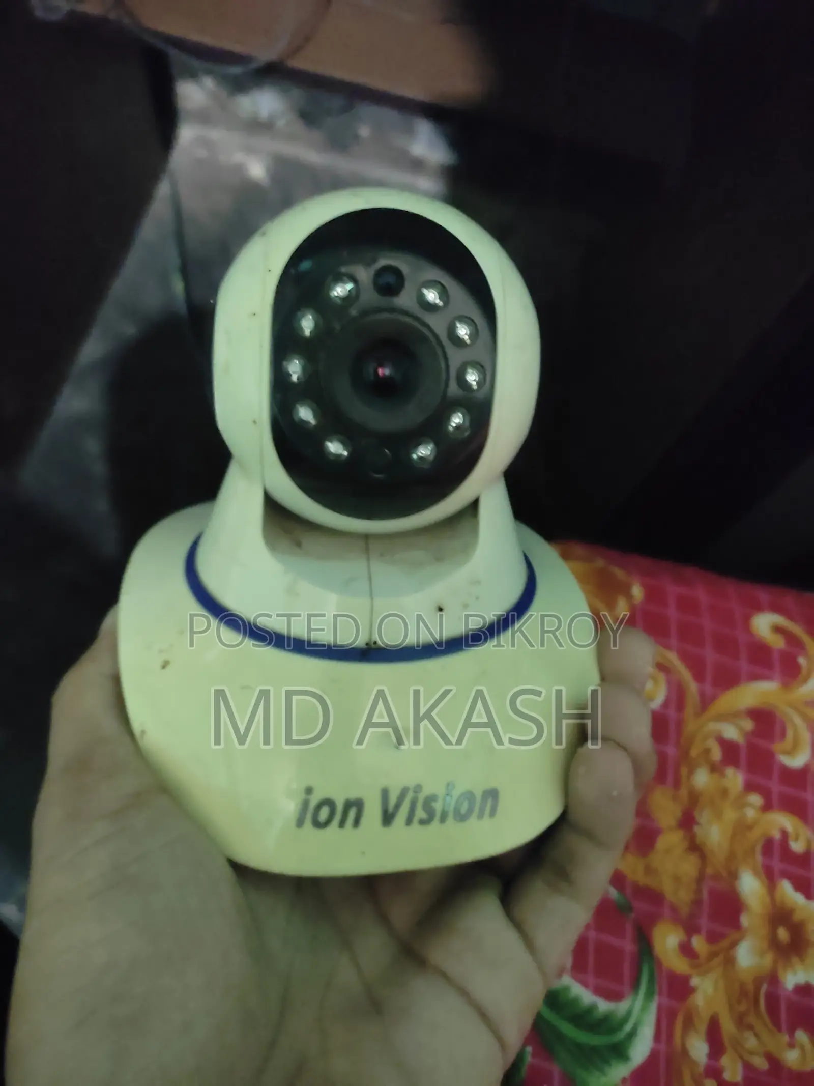 Lion Vision