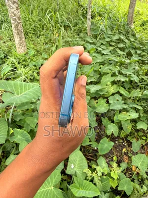 অ্যাপল আইফোন ১৩ ১২৮ জিবি ব্লু