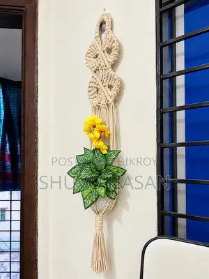 ইনডোর প্লান্ট হ্যাঙ্গার