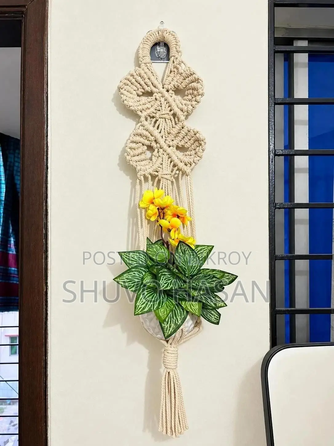 ইনডোর প্লান্ট হ্যাঙ্গার