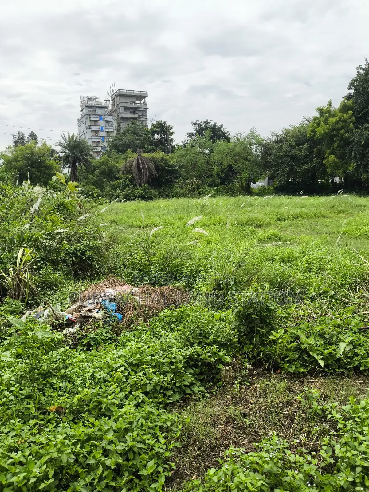Sector: 28, Corner 3 Katha Plot Urgent Sale in Purbachal