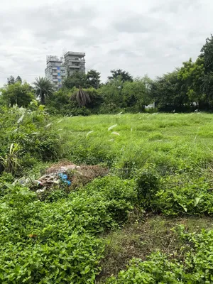 Sector: 28, Corner 3 Katha Plot Urgent Sale in Purbachal