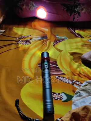 টর্চ লাইট