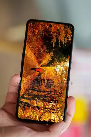 Nothing Phone 3a Lite 256 GB Gray
