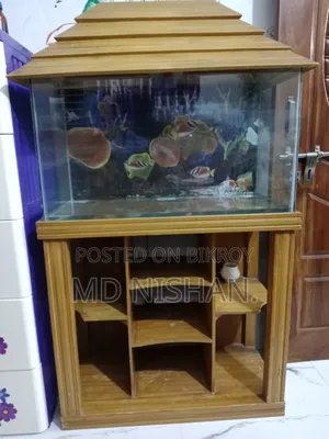 Big Size Aquarium