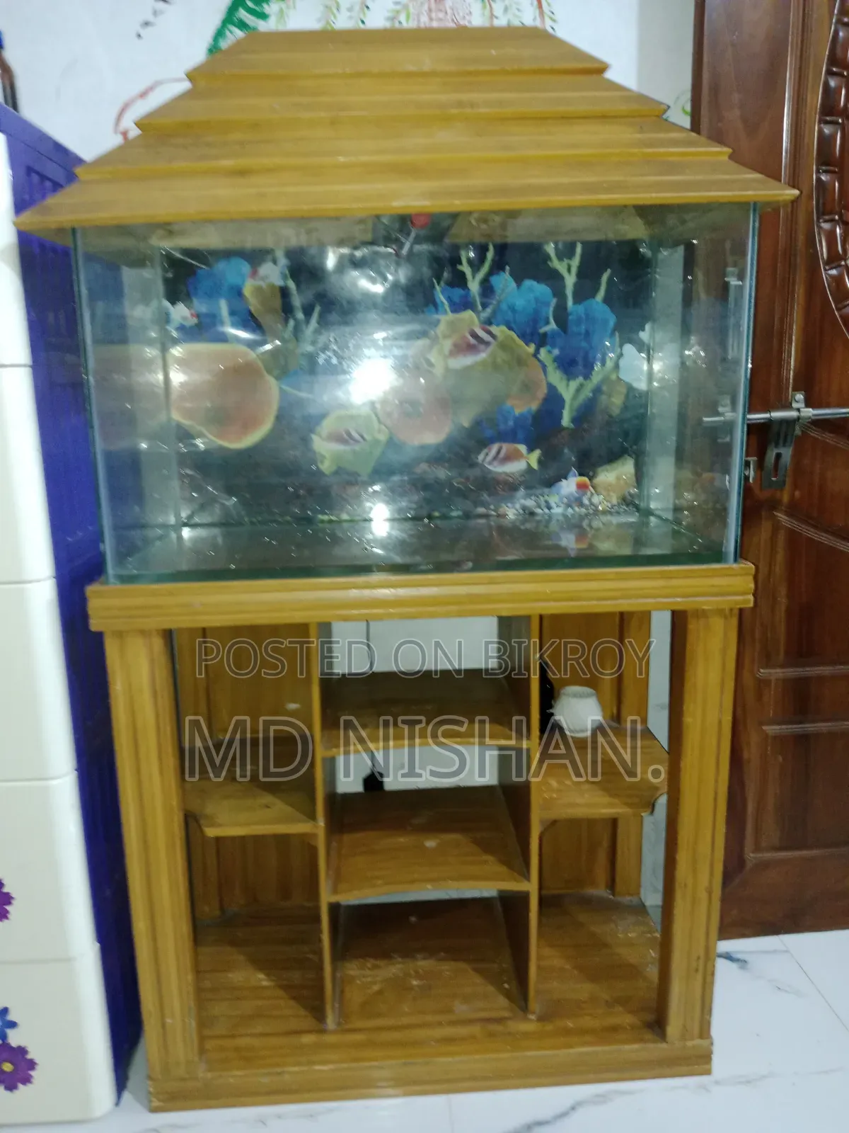 Big Size Aquarium