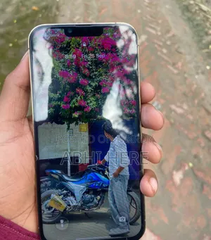 Apple iPhone 13 Pro Max 256 GB Rose Gold