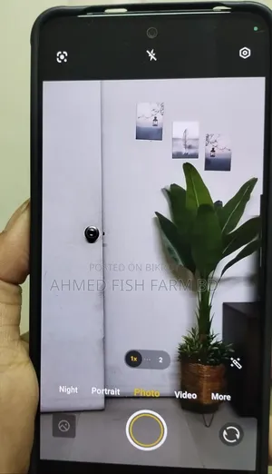 Vivo Y400 256 GB Green