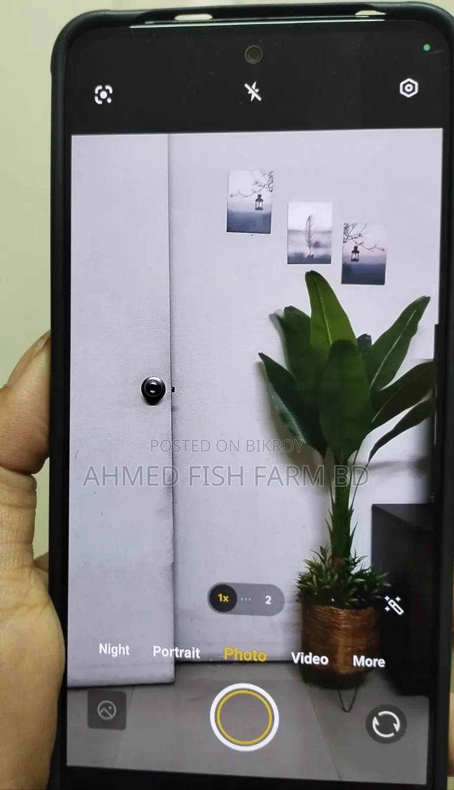 Vivo Y400 256 GB Green
