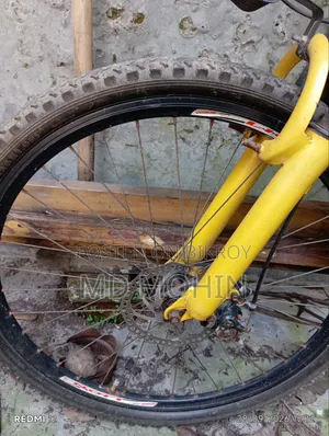 Bicycle 2023