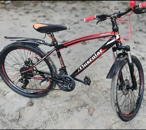 Duronto Gair Cycle