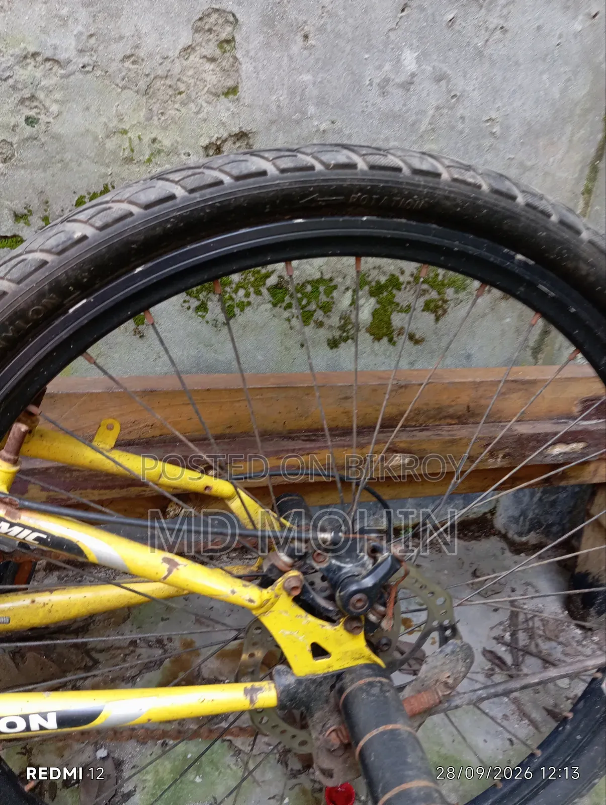 Bicycle 2023