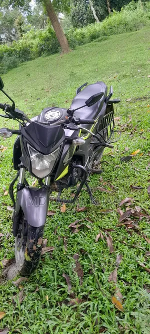 হোন্ডা হর্নেট ২০১৯ সবুজ