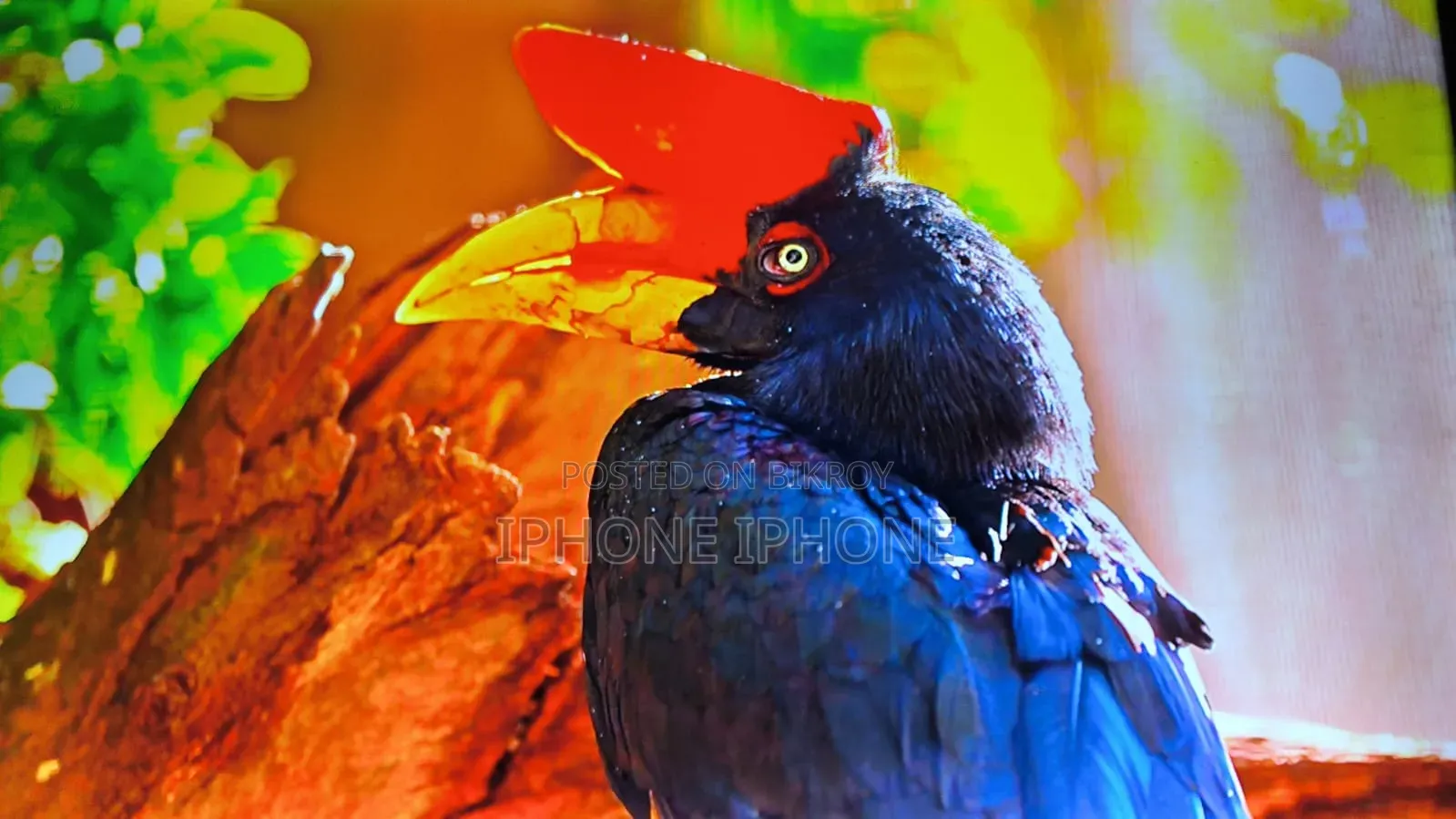 অরজিনাল স্যামসাং স্মার্ট টিভি ৪৩ ইঞ্চি