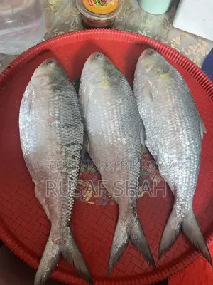 Chadpur Elish
