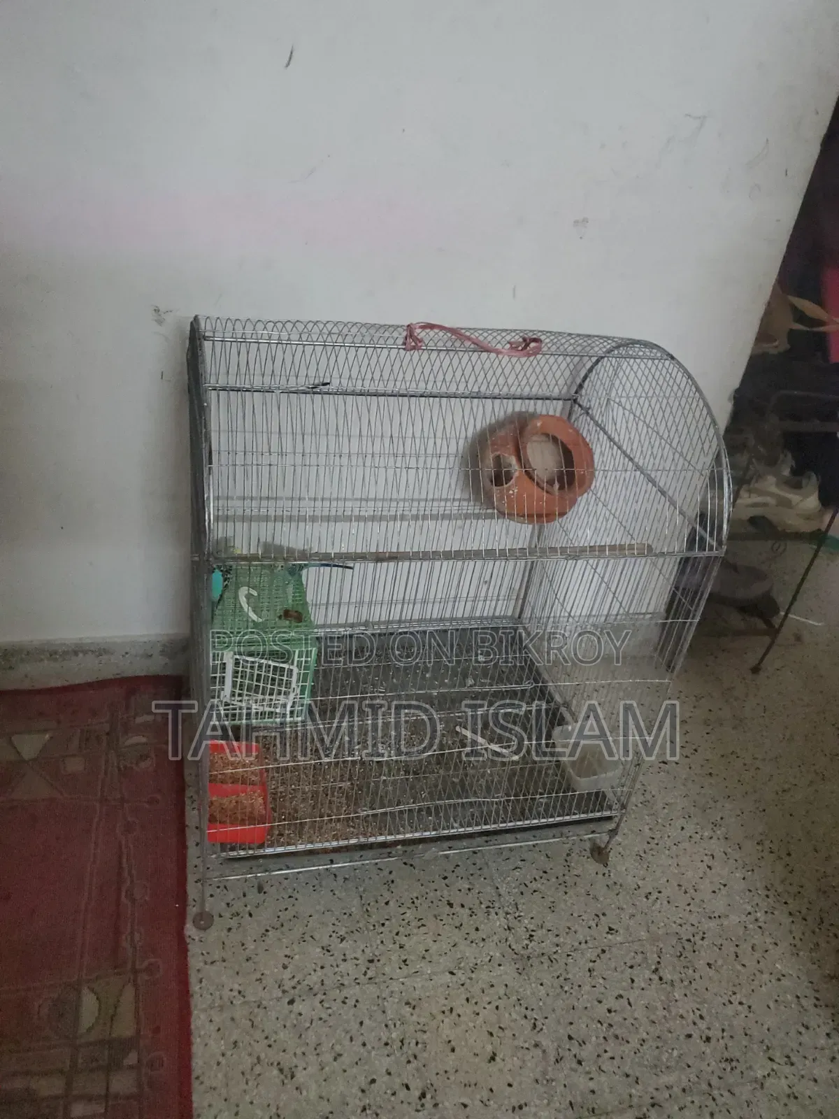 বড় খাঁচা সহ লাভবার্ড