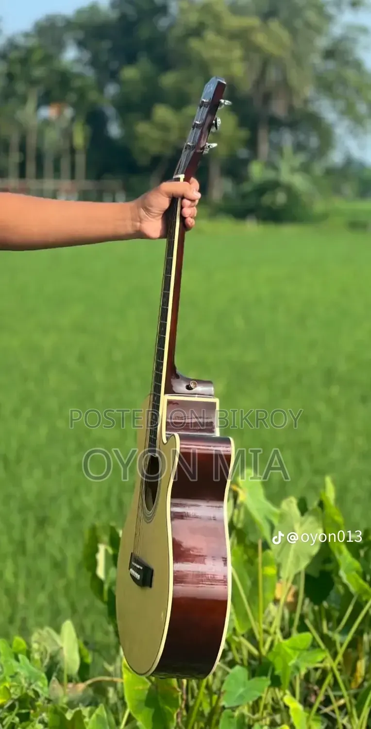 Acoustic Guitar