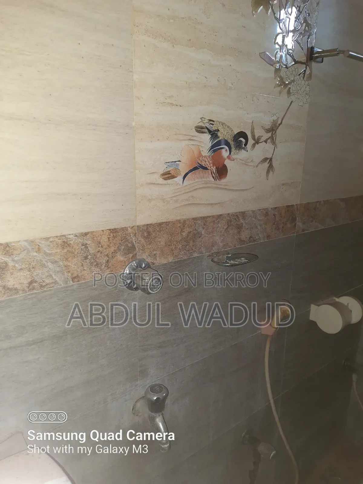 Mini Flat in Narsingdi Sadar for rent