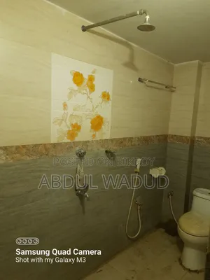 Mini Flat in Narsingdi Sadar for rent