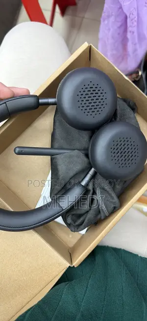 Dell wL3024 Headphone