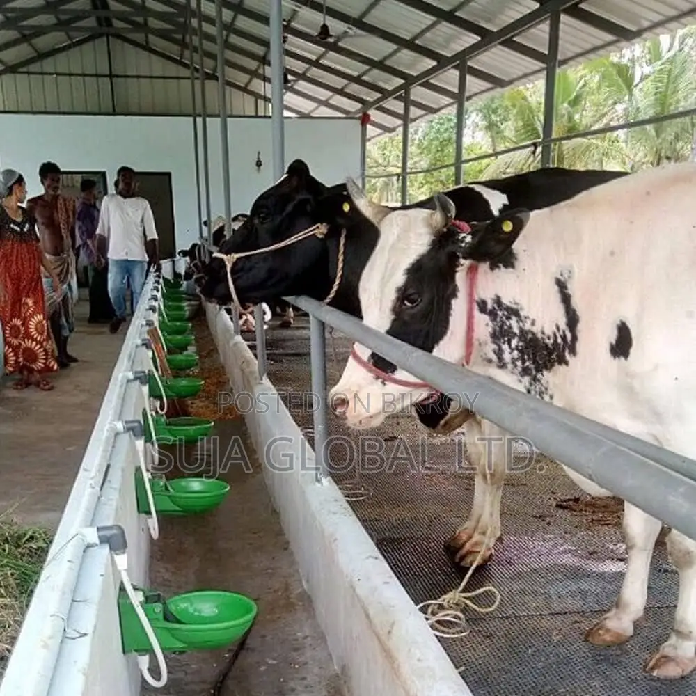সুজা গ্লোবালে বিক্রয়ের জন্য গবাদি পশুর জলের বাটি