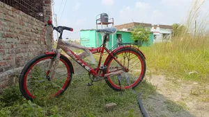 New Non-Gear Bicycle