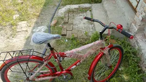 New Non-Gear Bicycle