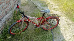 New Non-Gear Bicycle