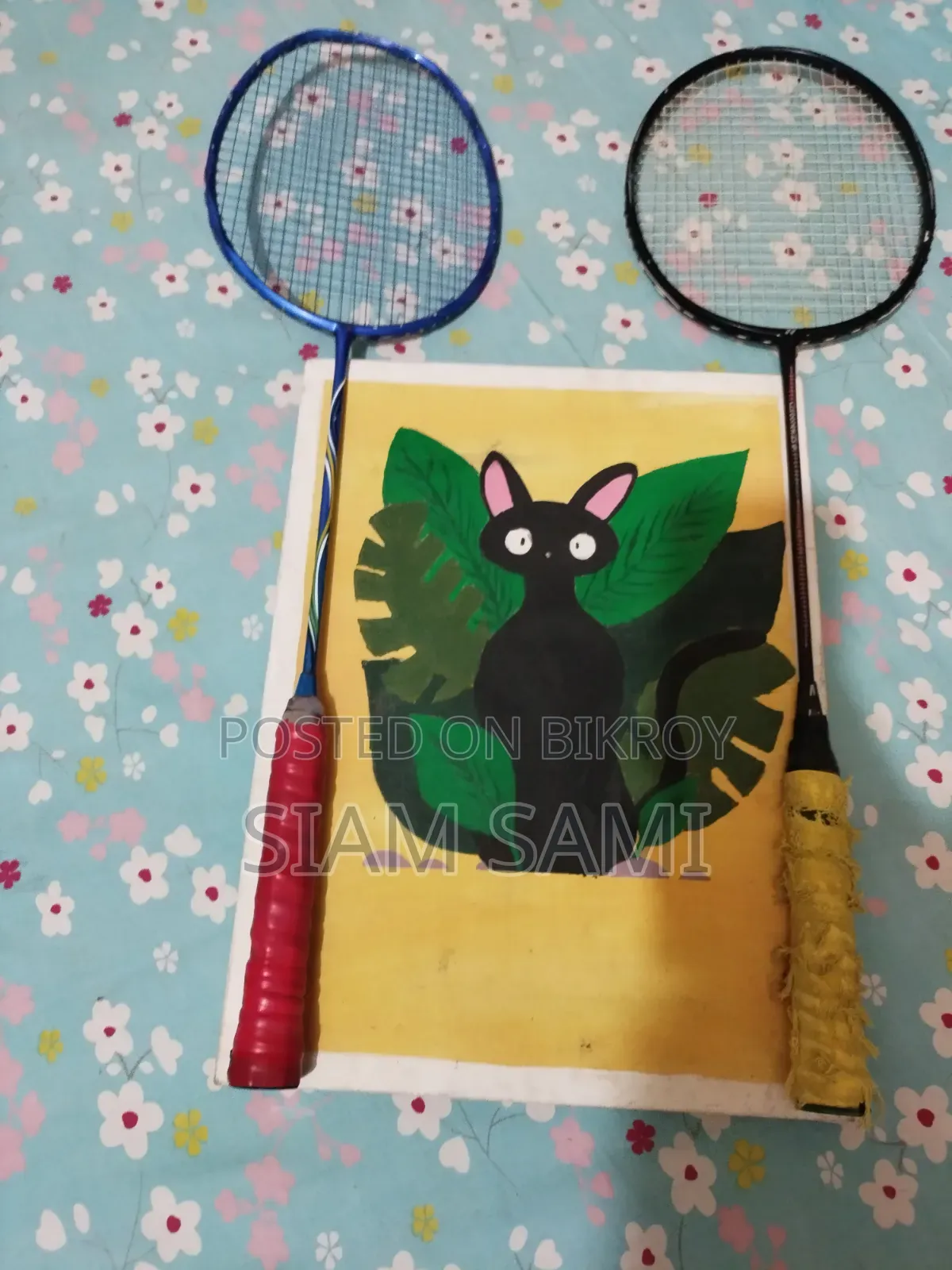 ব্যাডমিন্টন 🏸