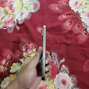 Apple iPhone 15 Pro Max 256 GB Gray