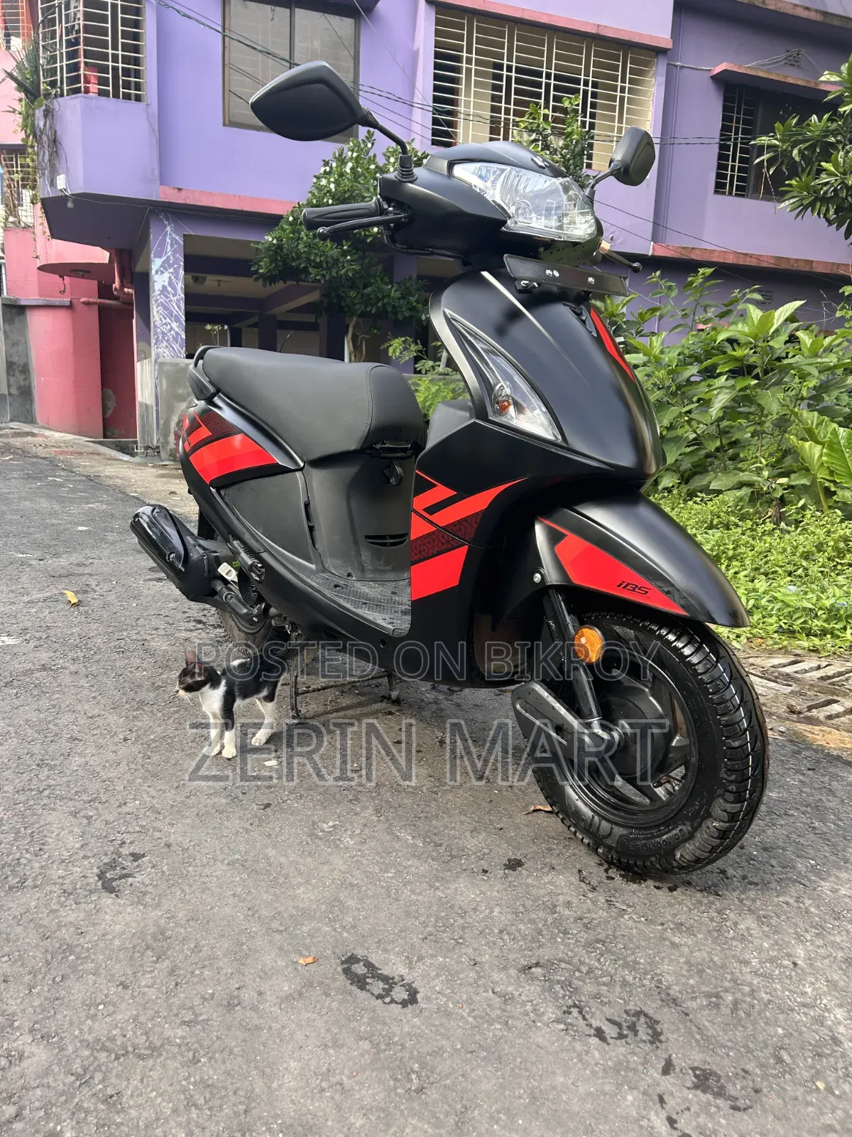 নিউ হিরো প্লিজার ২০২৬ ব্ল্যাক