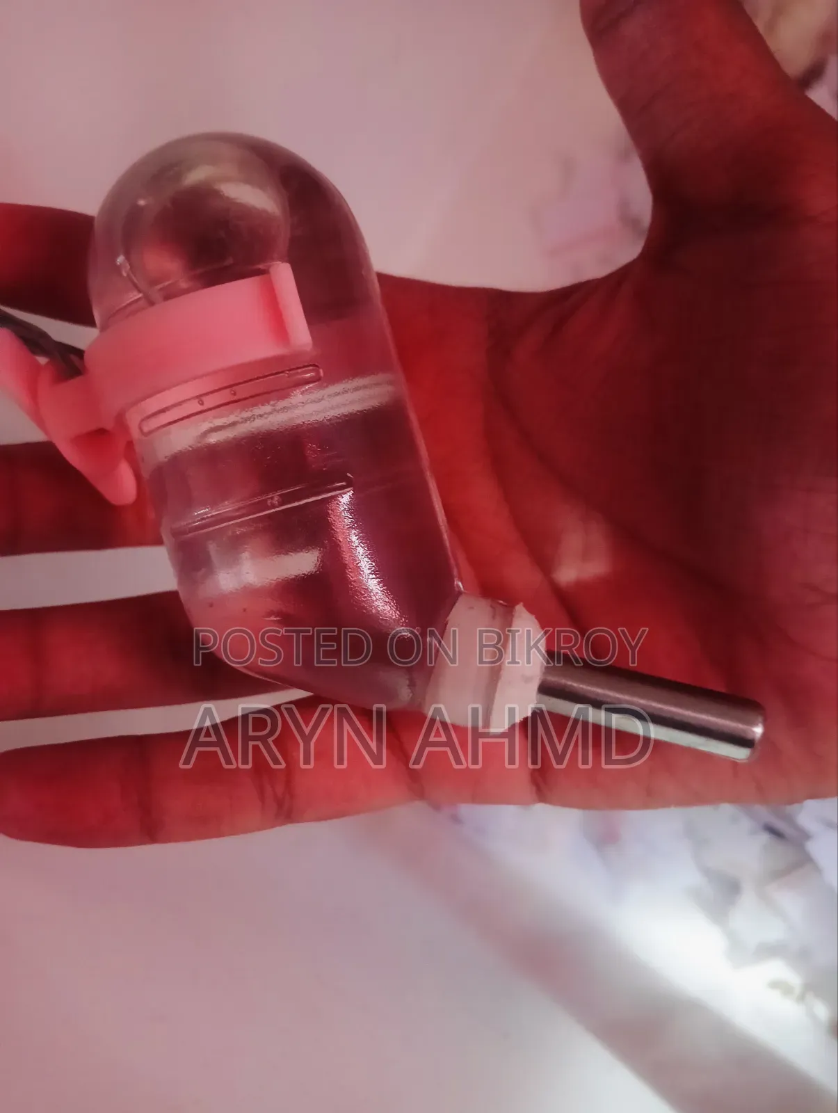 উইন্টার হোয়াইট অ্যালবিনো হ্যামস্টার