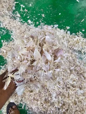 রসুনের খোসা