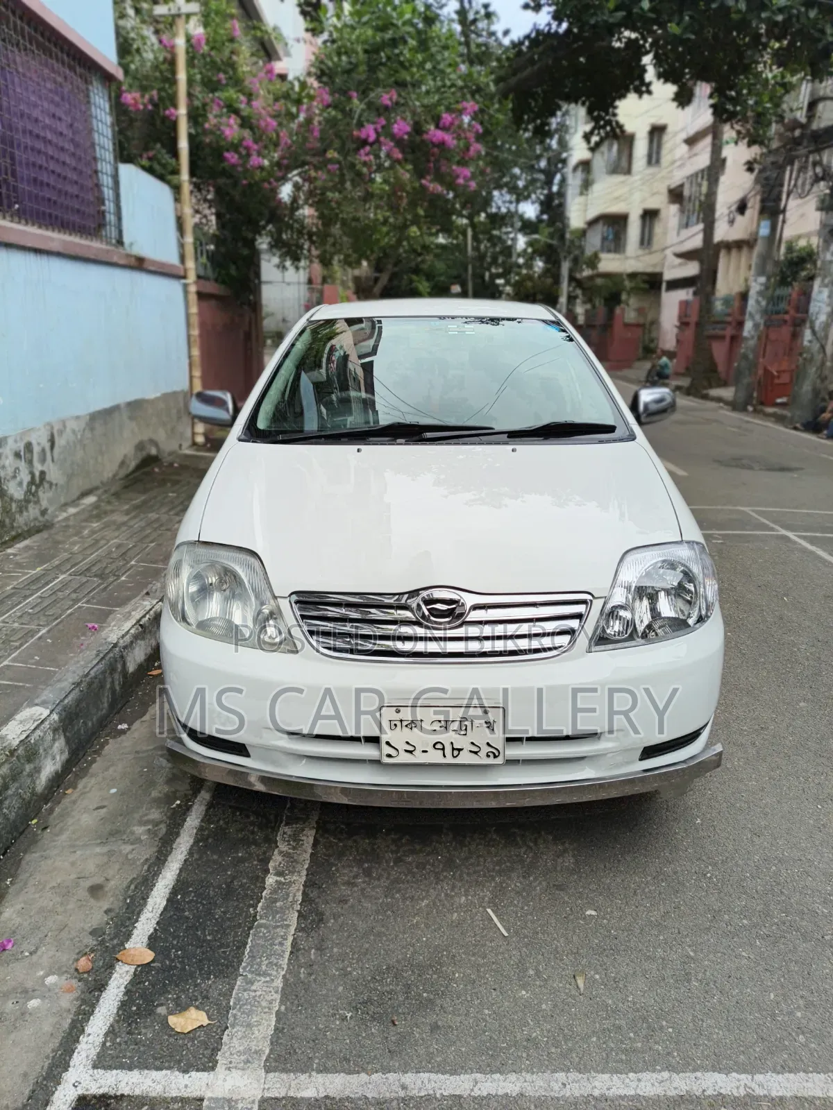 টয়োটা করোল্লা ২০০৩ সাদা